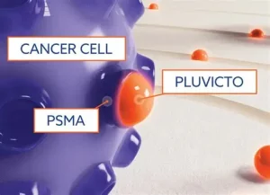 Medical illustration showing a prostate cancer cell with PSMA on its surface and Pluvicto Targeting and binding to the cancer cell, representing targeting theranostic treatment